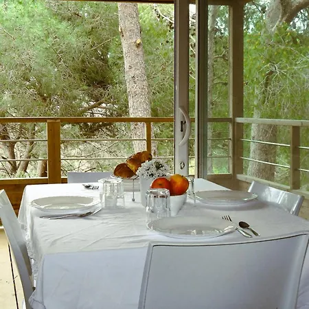 Les Amandiers * 科利尤尔